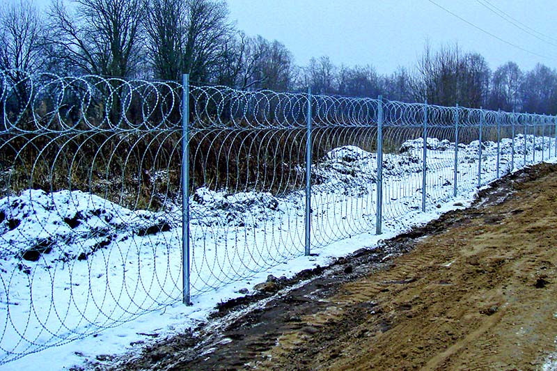 Барбарис-125