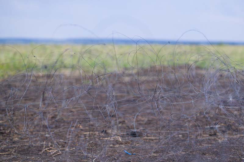 МЗП-1М Путанка